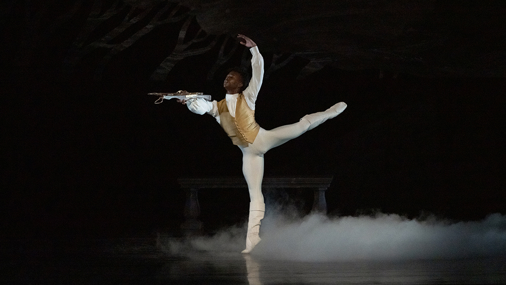 Siphesihle November in Swan Lake. Photo by Karolina Kuras. 