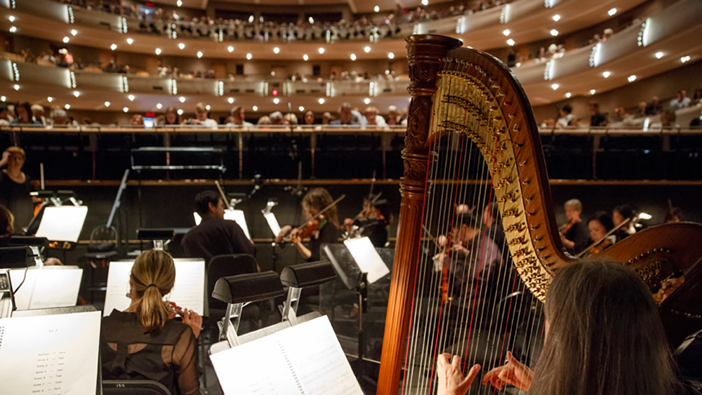 Orchestra members in the pit.